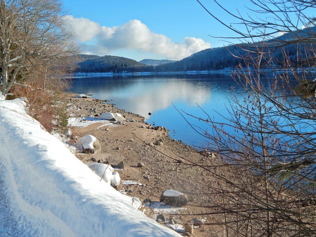 Hotel Hochschwarzwald-Hof Schluchsee Esterno foto