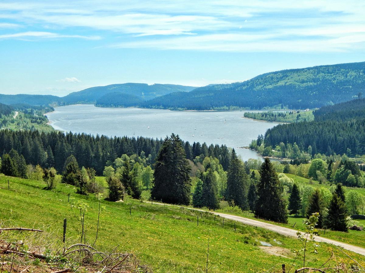 Hotel Hochschwarzwald-Hof Schluchsee Esterno foto